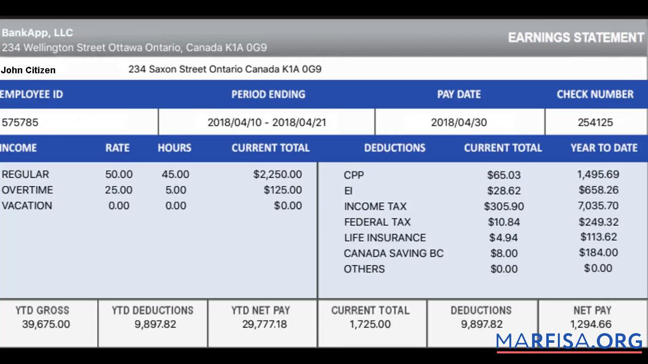 Realistic Canada Bankapp LLC earning statement real example